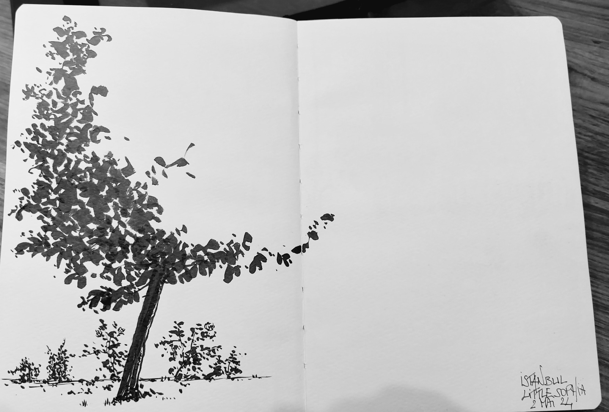 443734103_10229710496020962_2429453954464552055_n.jpg, juin 2024