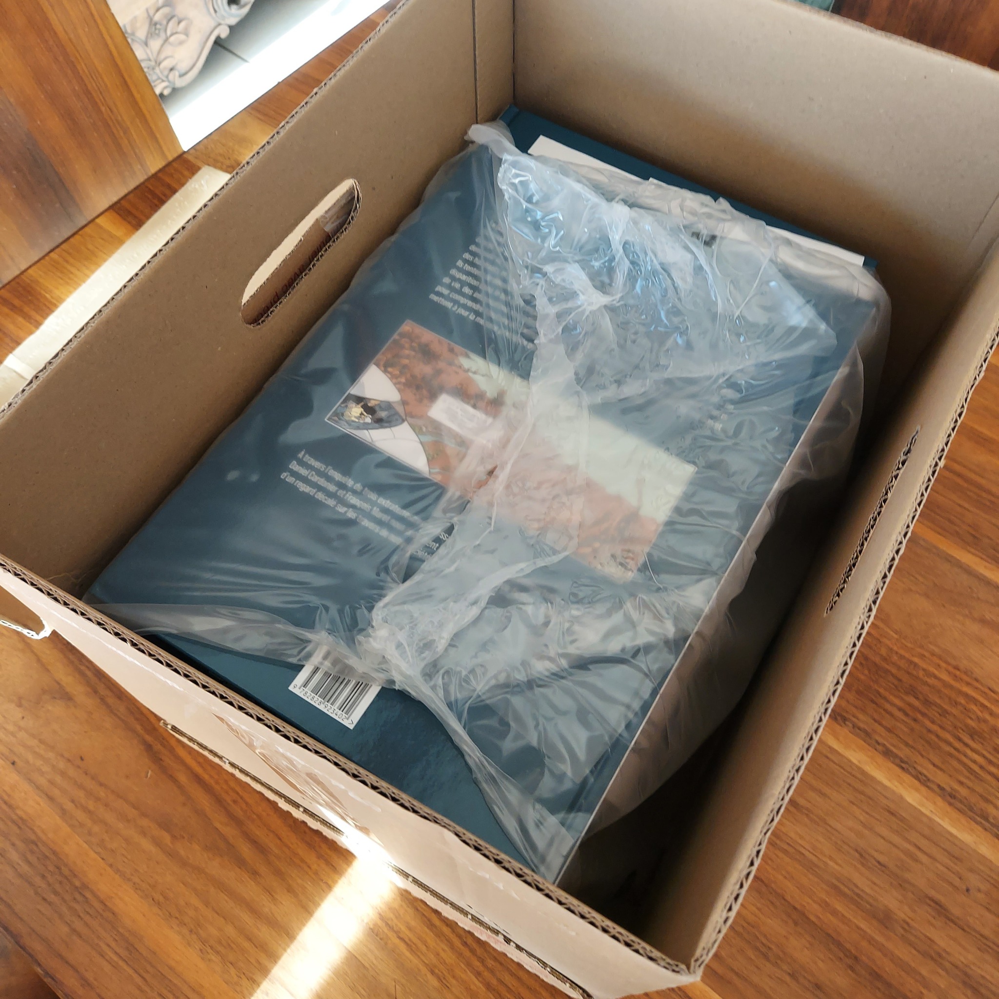 olovia carton 2.jpg, avr. 2026